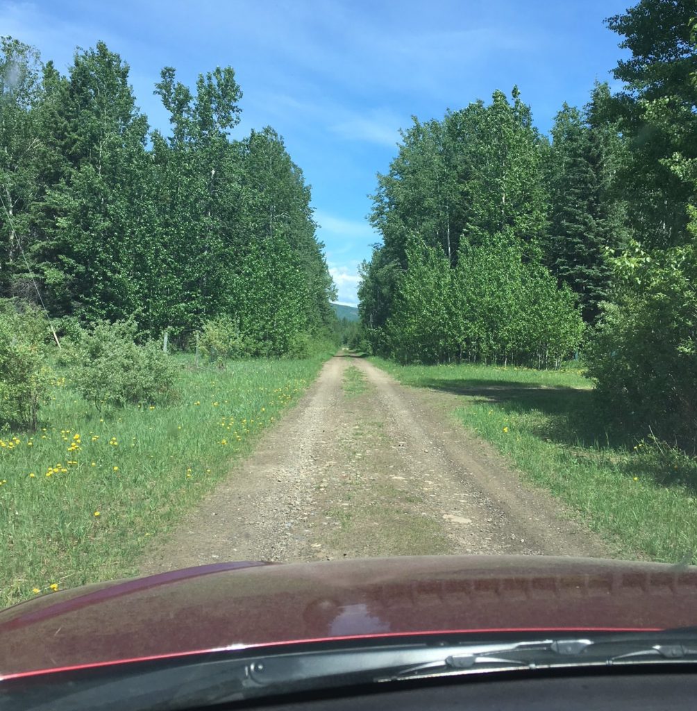 Horseshoe Creek Ranch